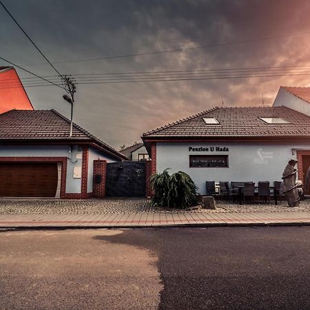 Penzion U Hada Velké Pavlovice 외부 사진