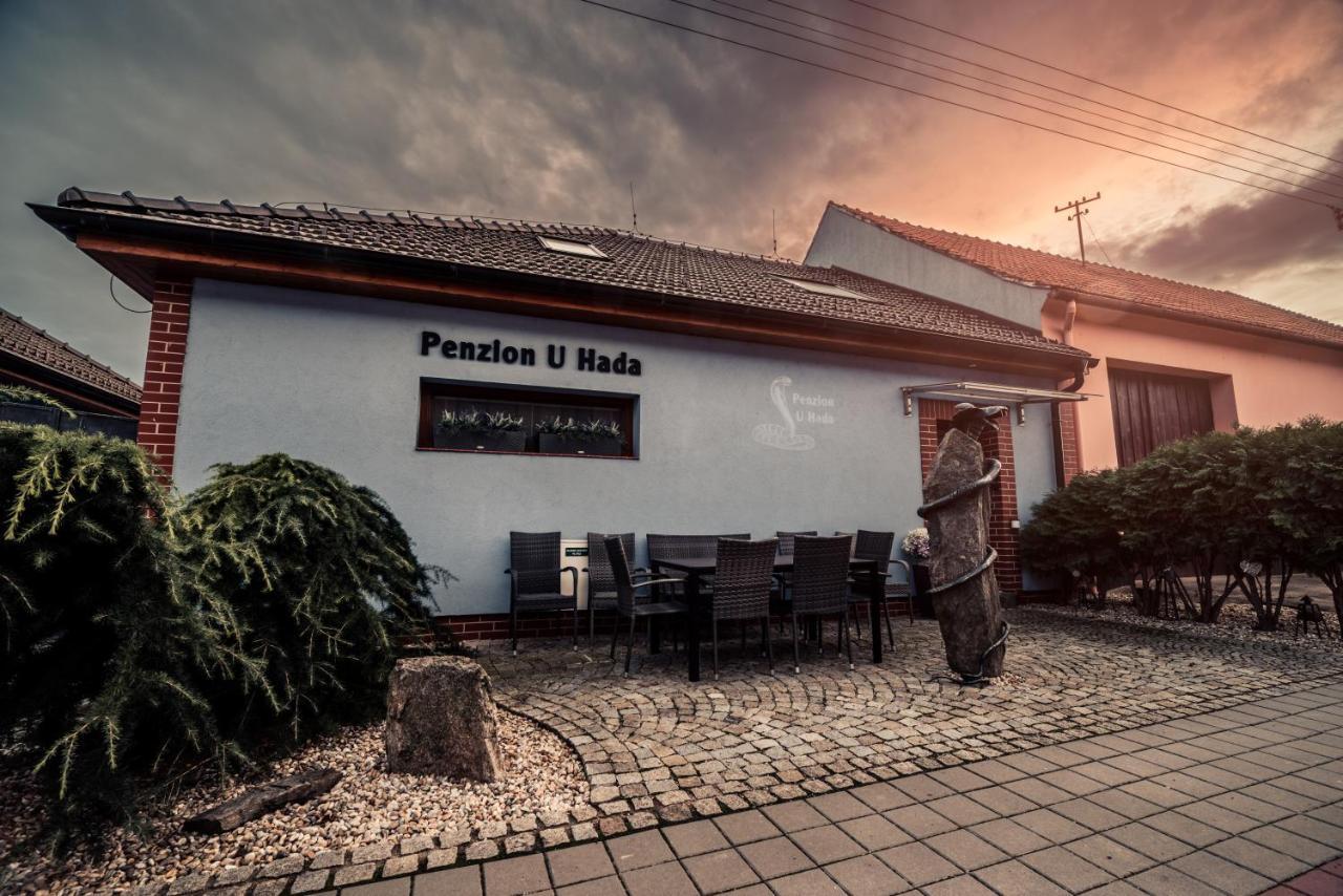 Penzion U Hada Velké Pavlovice 외부 사진